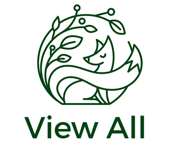 Needlepoint Canvases