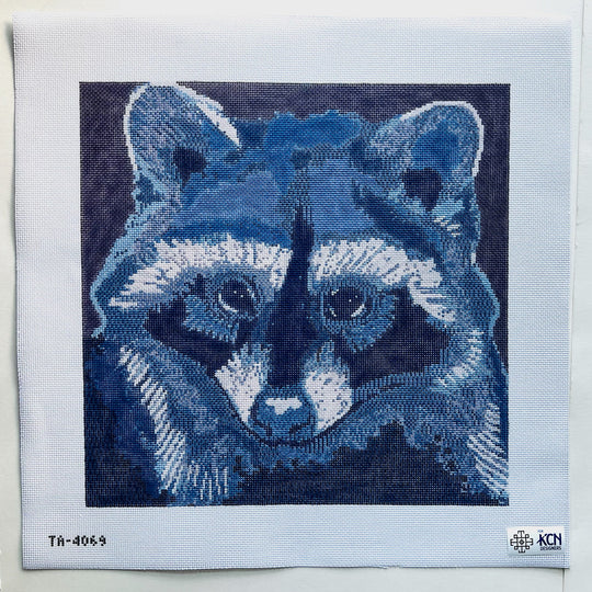Raccoon Canvas