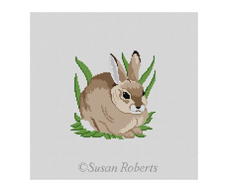 Rabbit In Grass