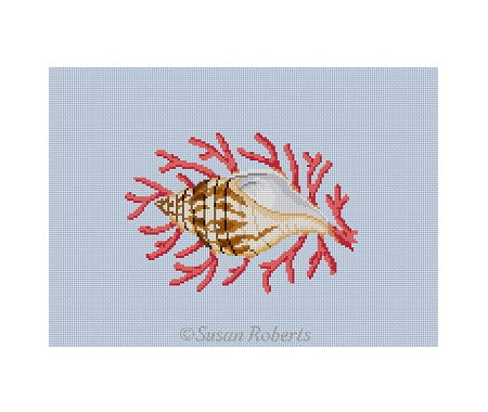 Tulip Shell w/ Coral