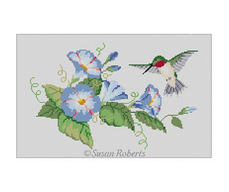 Morning Glories Hummingbird
