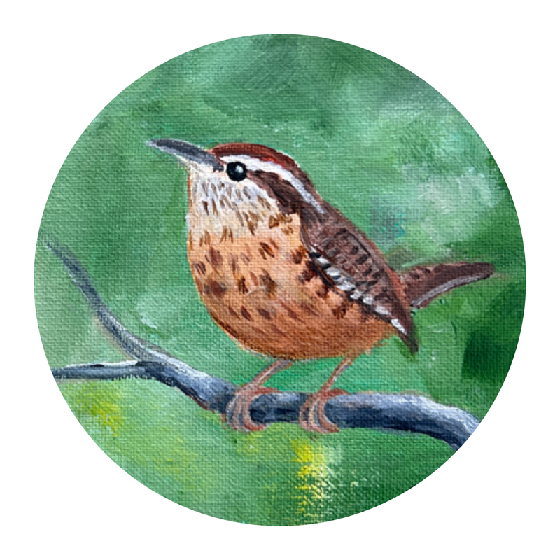 Carolina Wren Needleminder