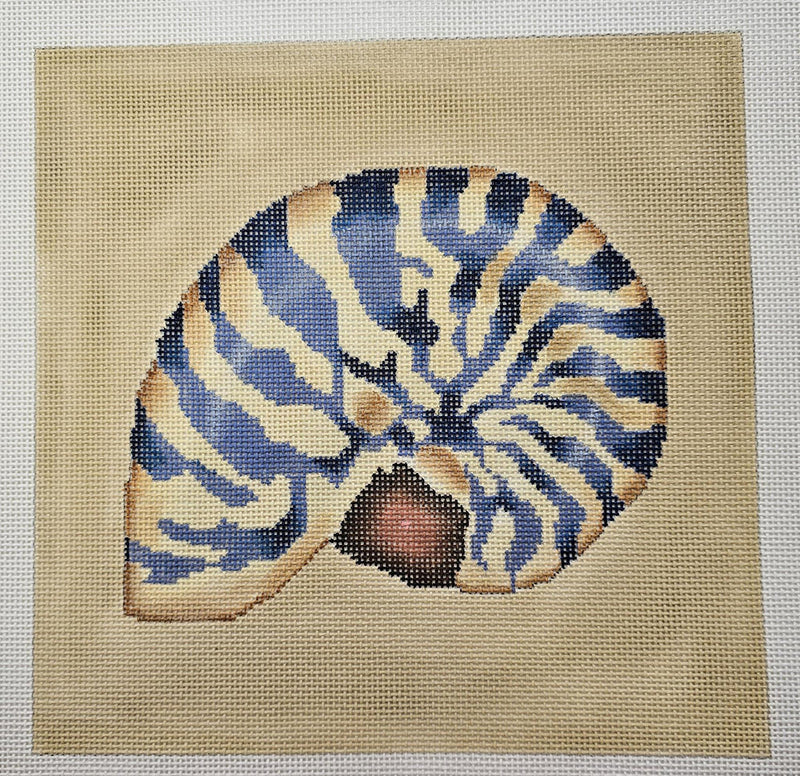 Nautilus Shell / Beige & Blue