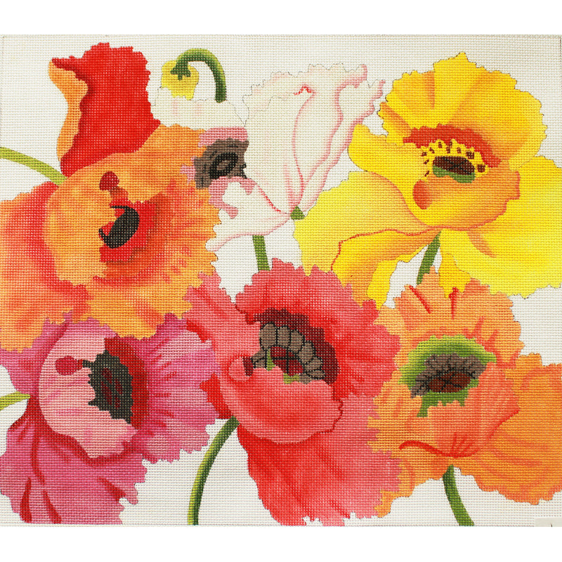 Julie Thompson · Sunny Poppies (13m)