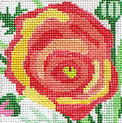 Ranunculus Coaster #3