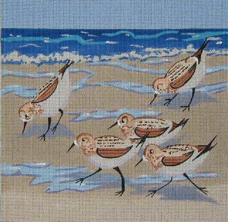 Sandpipers