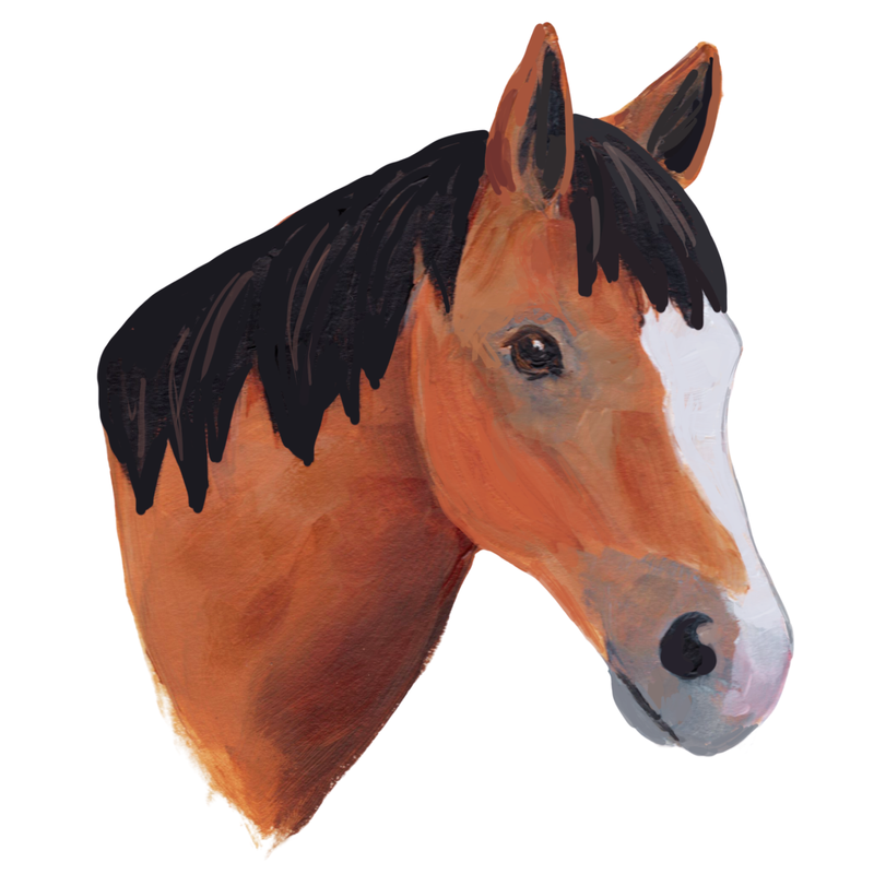 Horse Head (Bay) Needleminder
