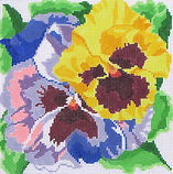 Summer Palette - Pansies