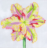 Regal Open Green Wave Tulip