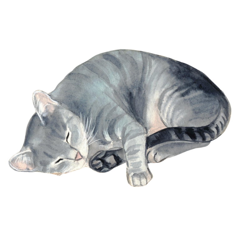 Sleeping Kitty Needleminder
