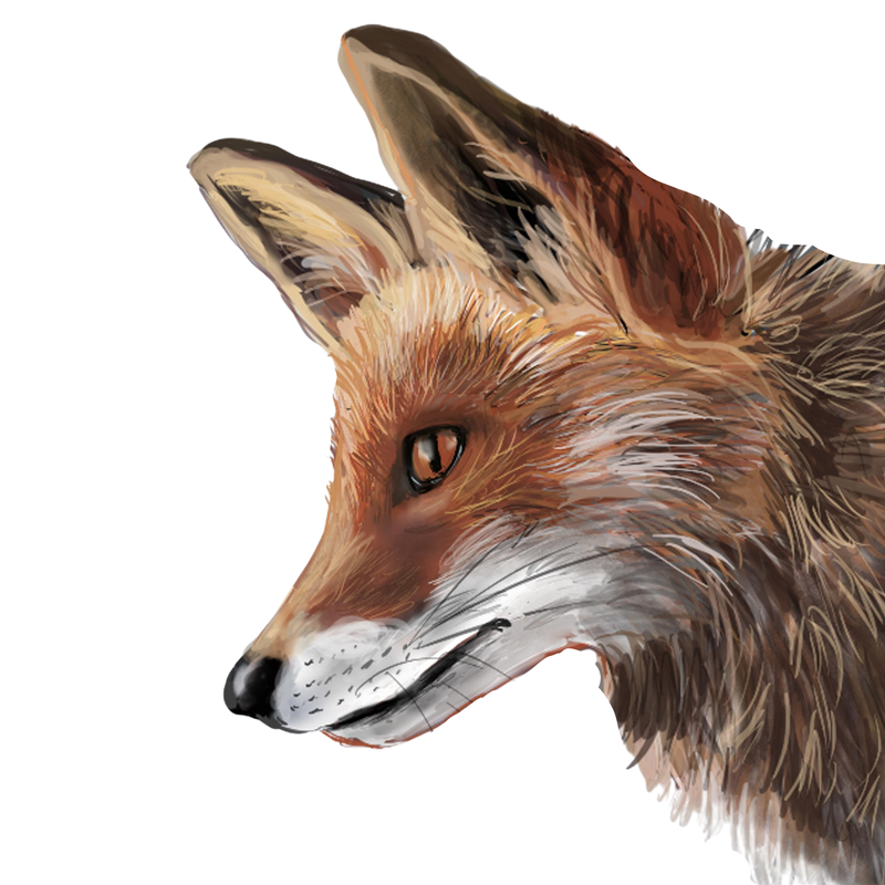 Fox Needleminder