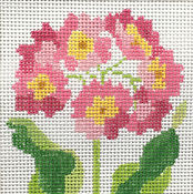 Primrose Coaster - Pink