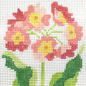 Primrose Coaster - Coral