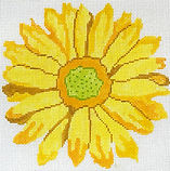 Sunny Gerber Daisy