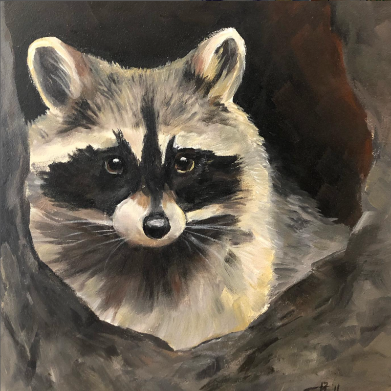 Raccoon Needleminder