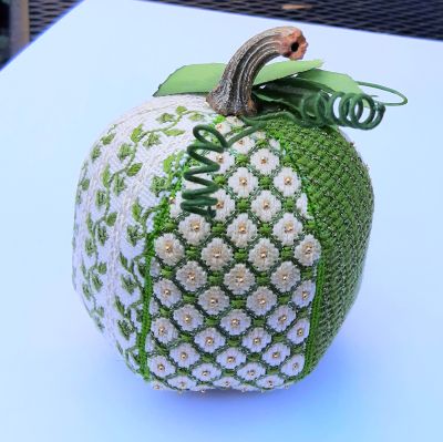 Joni's Pumpkin - 13 mesh