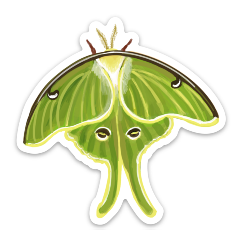 Luna Moth Needleminder