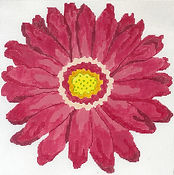 Rose Gerber Daisy