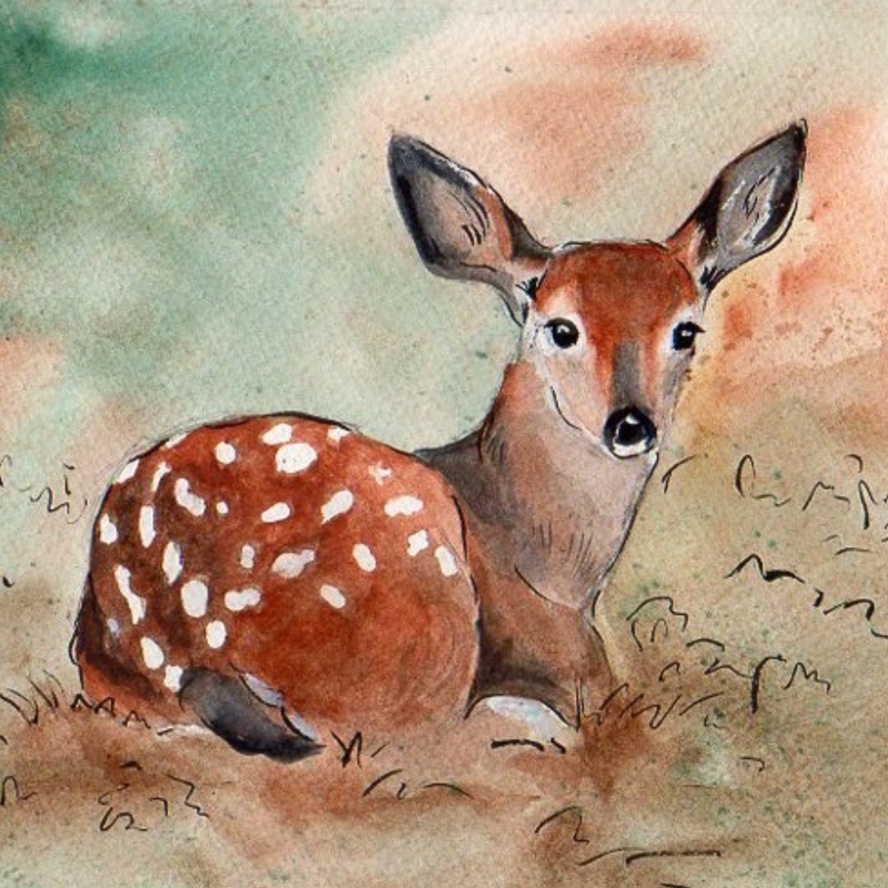 Fawn Needleminder