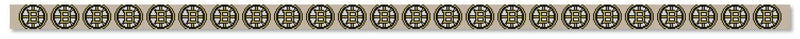 Boston Bruins