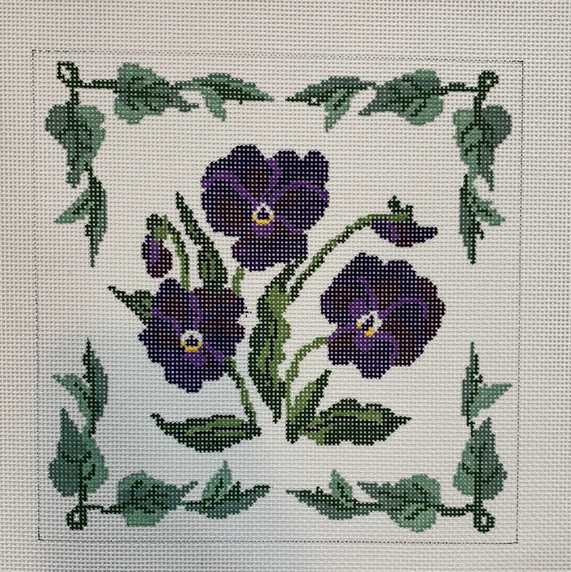 Pansy