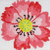 Dazzle Flowers Coaster - Coral