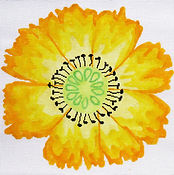 Large Dazzle Flowers - Yellow
