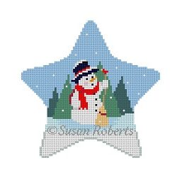 Star - Snowman's Visitor