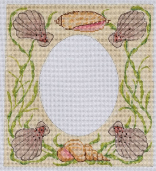 Frame – Small Mixed Shells & Seaweed – on sand
