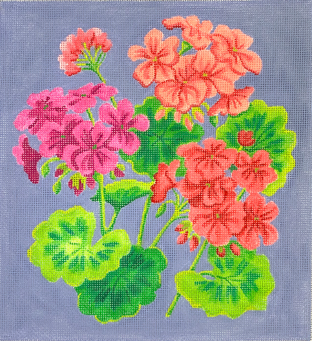 Bright Geraniums on Periwinkle Blue