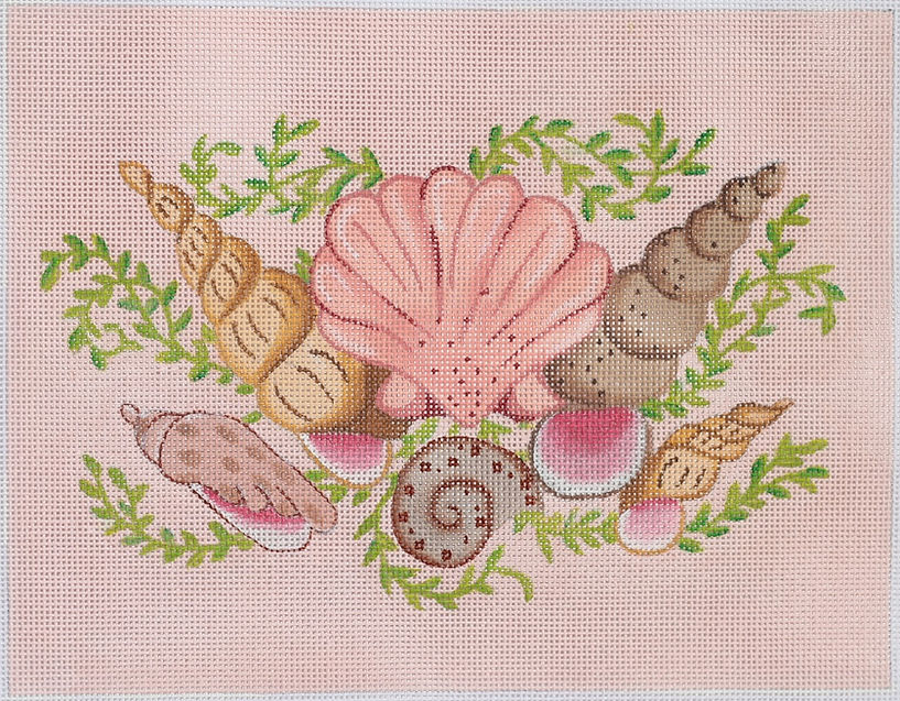 Mixed Shells Rectangle – pink sand bkgd.