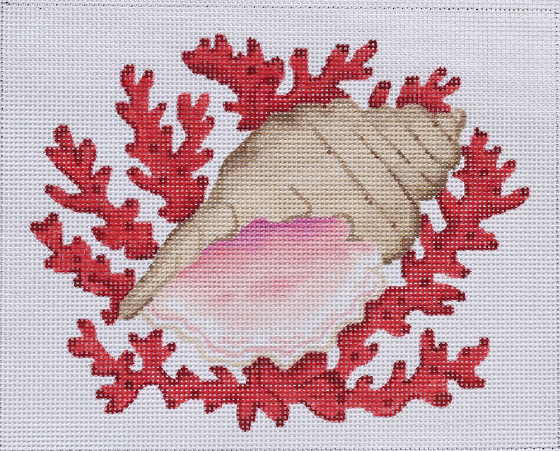 Conch Shell w/ Coral