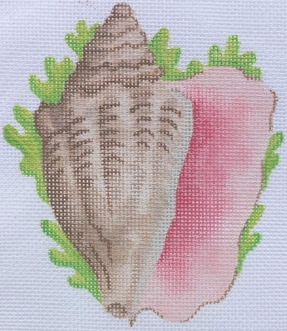 Tropical Mini – Conch Shell w/ Seaweed