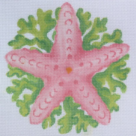 Tropical Mini – Starfish w/ Seaweed