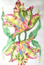 Regal Ruffled Tulip Rug