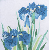 Blue Siberian Iris