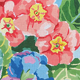 Painter's Primrose #3