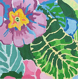 Painter's Primrose #4