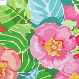 Painter's Primrose #5