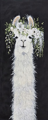 Animal: Dolly Llama