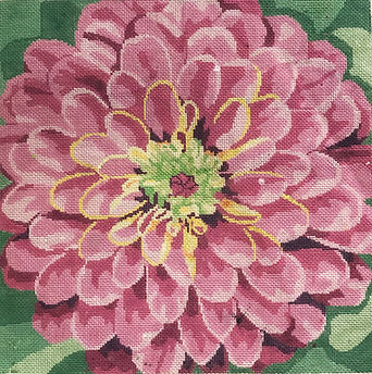 Fabulous Pink Dahlia