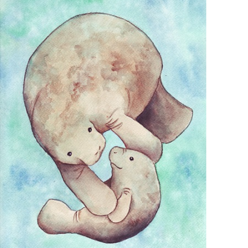 Manatees Needleminder