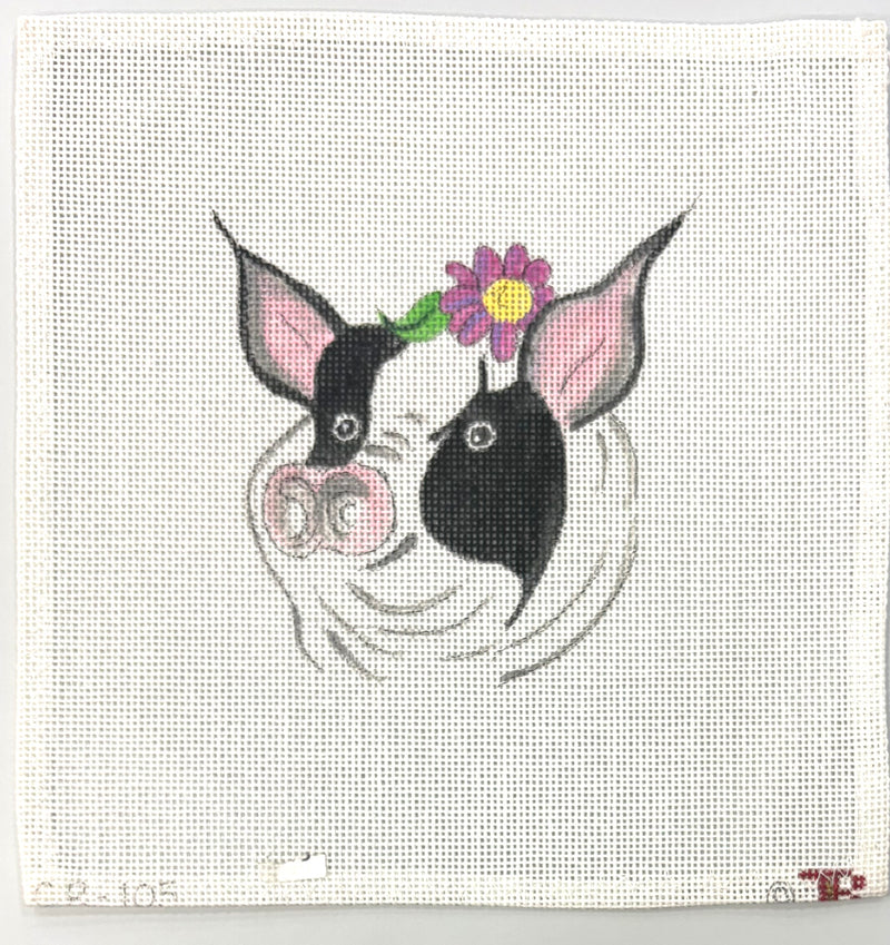 Sweet Pig