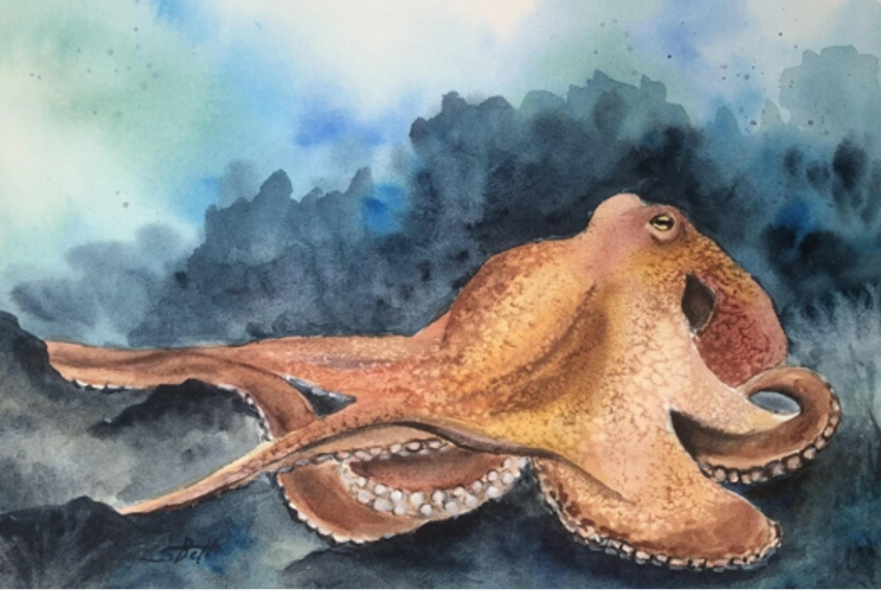 Octopus Needleminder