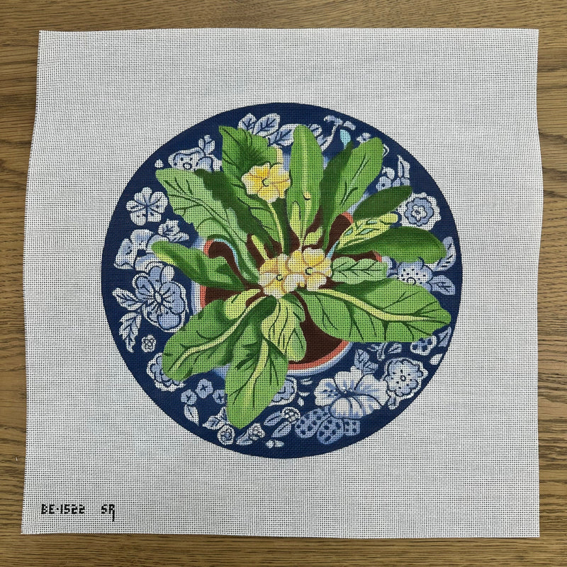 Primrose On Blue Plate