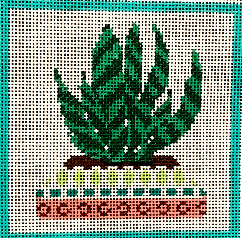 Cactus Series - Succulent