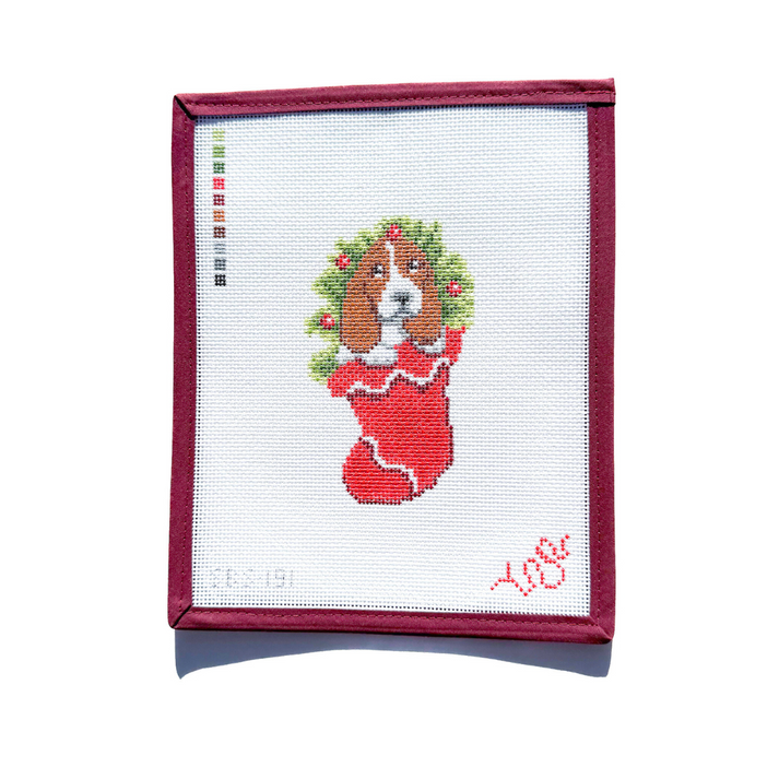 Basset in a Stocking