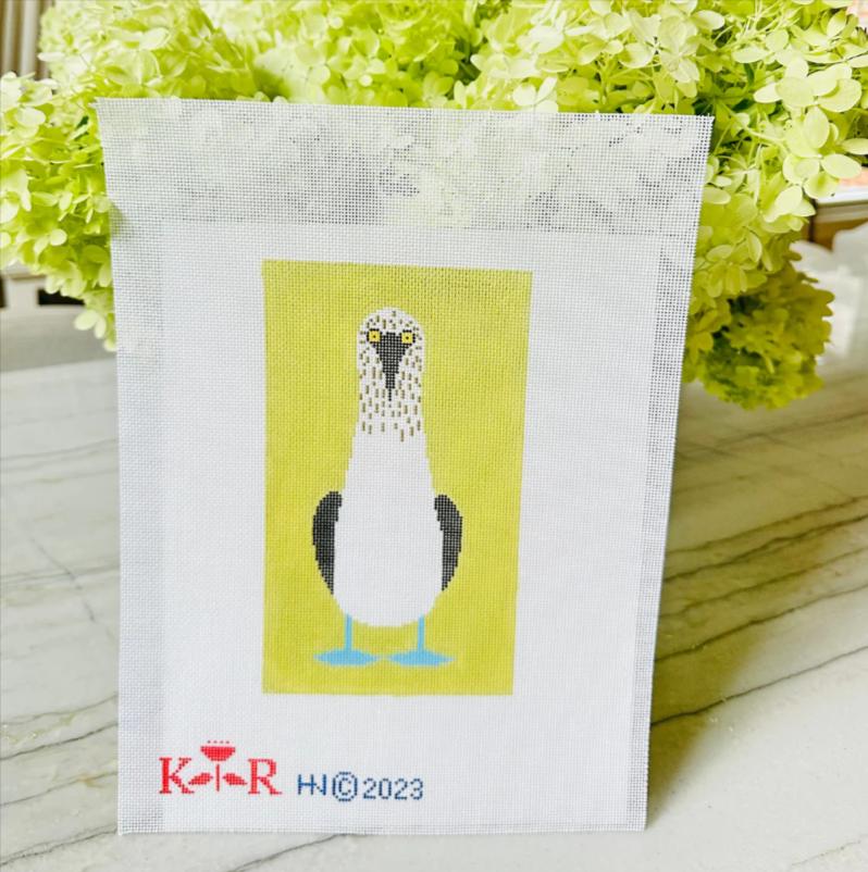 Kate Rhees · Blue Footed Booby Sunglasses Case