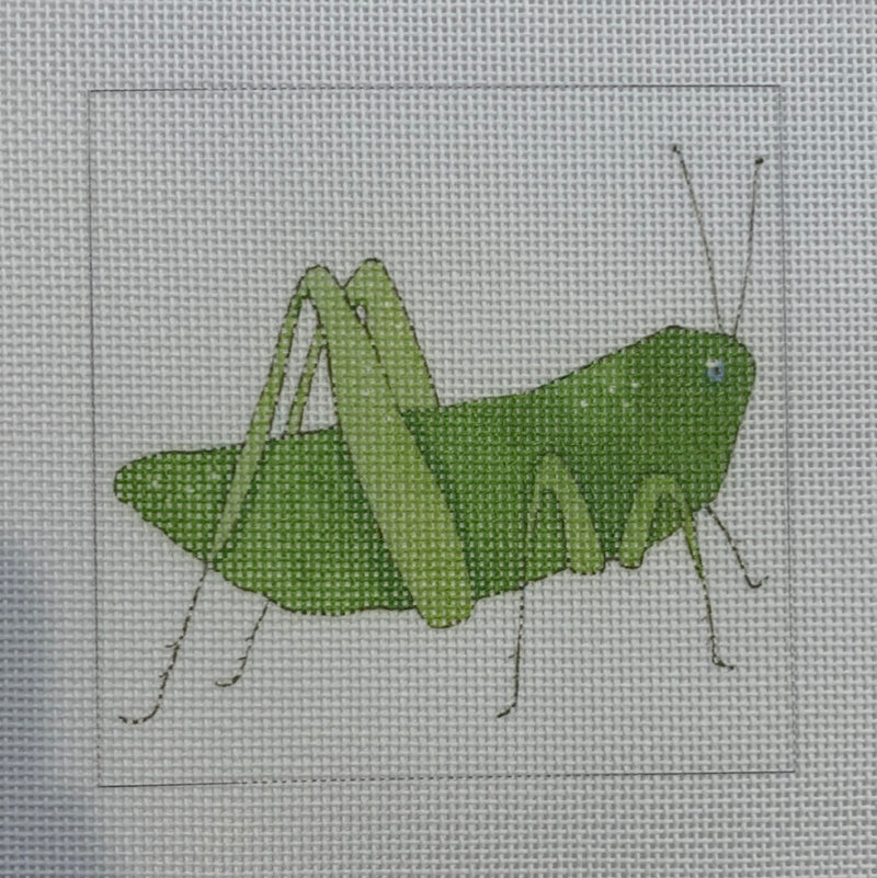 Grasshopper
