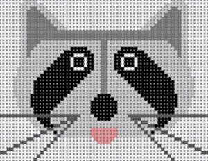 Raccoon